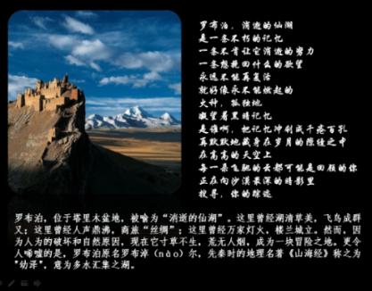 萌兔兔闯关