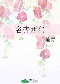 试镜机会