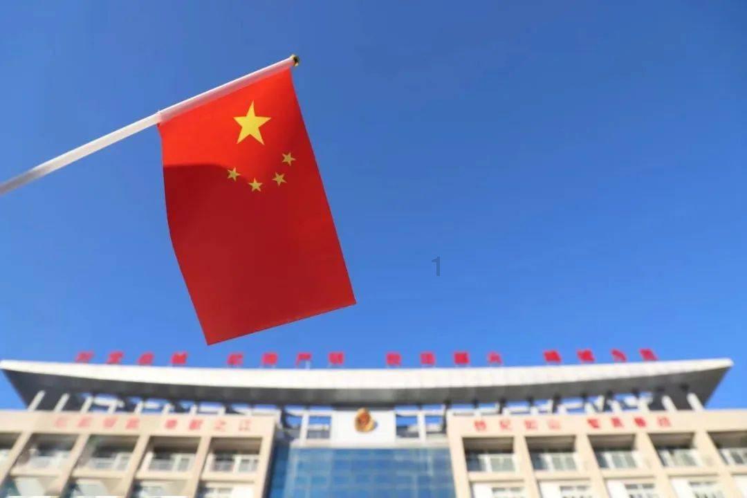 《可怜的东西》：重塑弗兰肯斯坦，女性觉醒的奇幻之旅