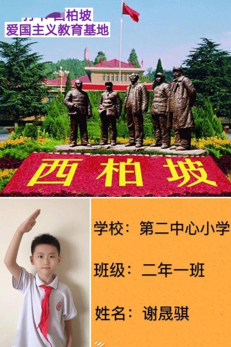 见缝插刀2