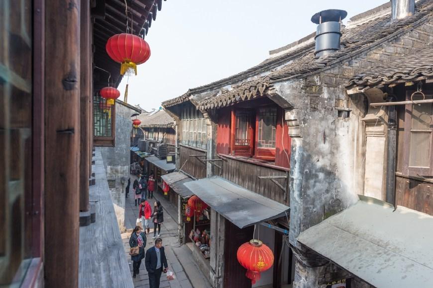 动物帮帮忙保卫家园
